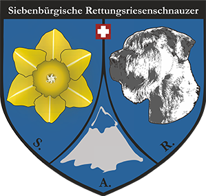 Asociaţia Pia Fidelis Schnauzer & Pinscher Club 2020 logo
