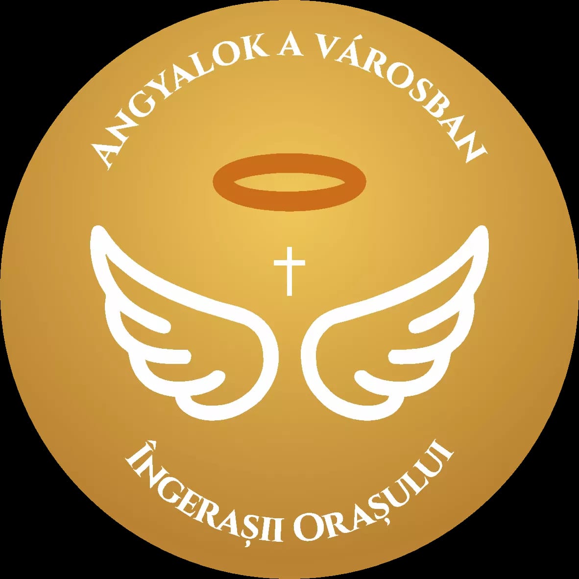 Asociația ÎNGERAȘII ORAȘULUI – ANGYALOK A VÁROSBAN EGYESÜLET logo