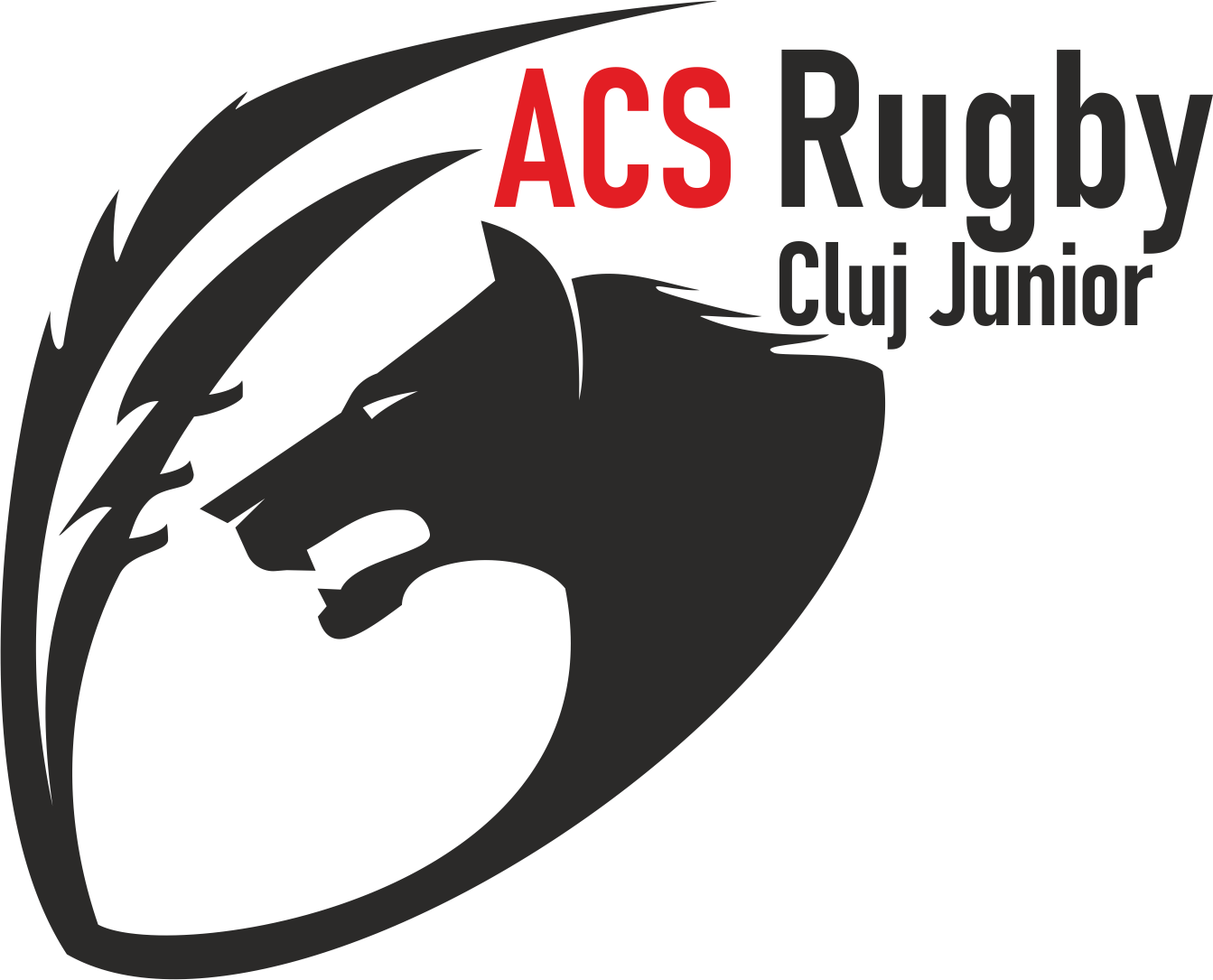 Rugby Cluj Junior  logo