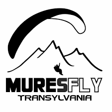 Asociatia Club Sportiv Mures Fly logo