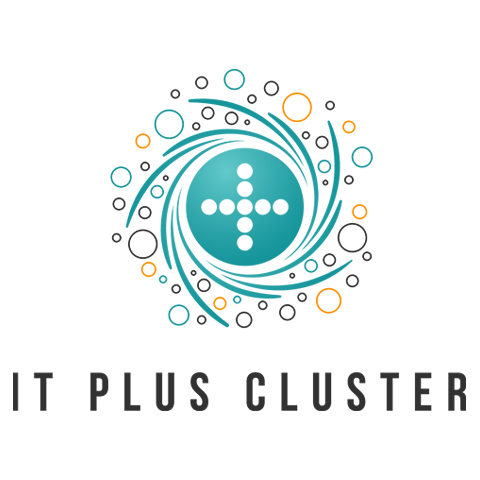 Asociatia IT Plus logo