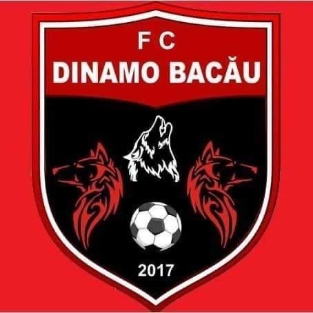 Asociația Fotbal Club Dinamo Bacau logo