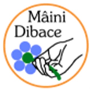 FUNDATIA MAINI DIBACE logo