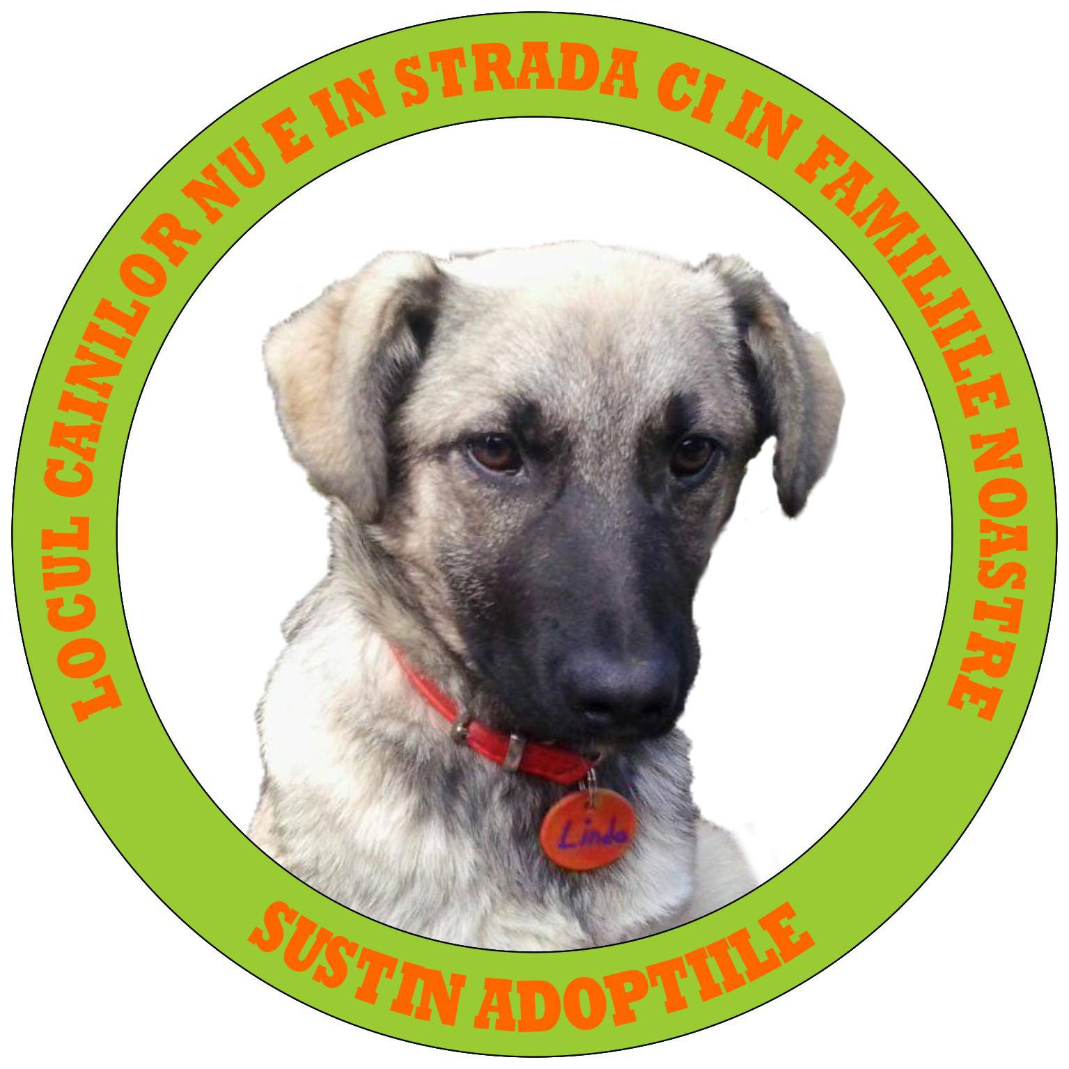 Asociatia pentru Drepturile Animalelor Sighisoara logo