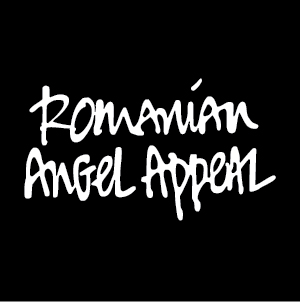 Fundația Romanian Angel Appeal - Apelul Îngerului Român logo
