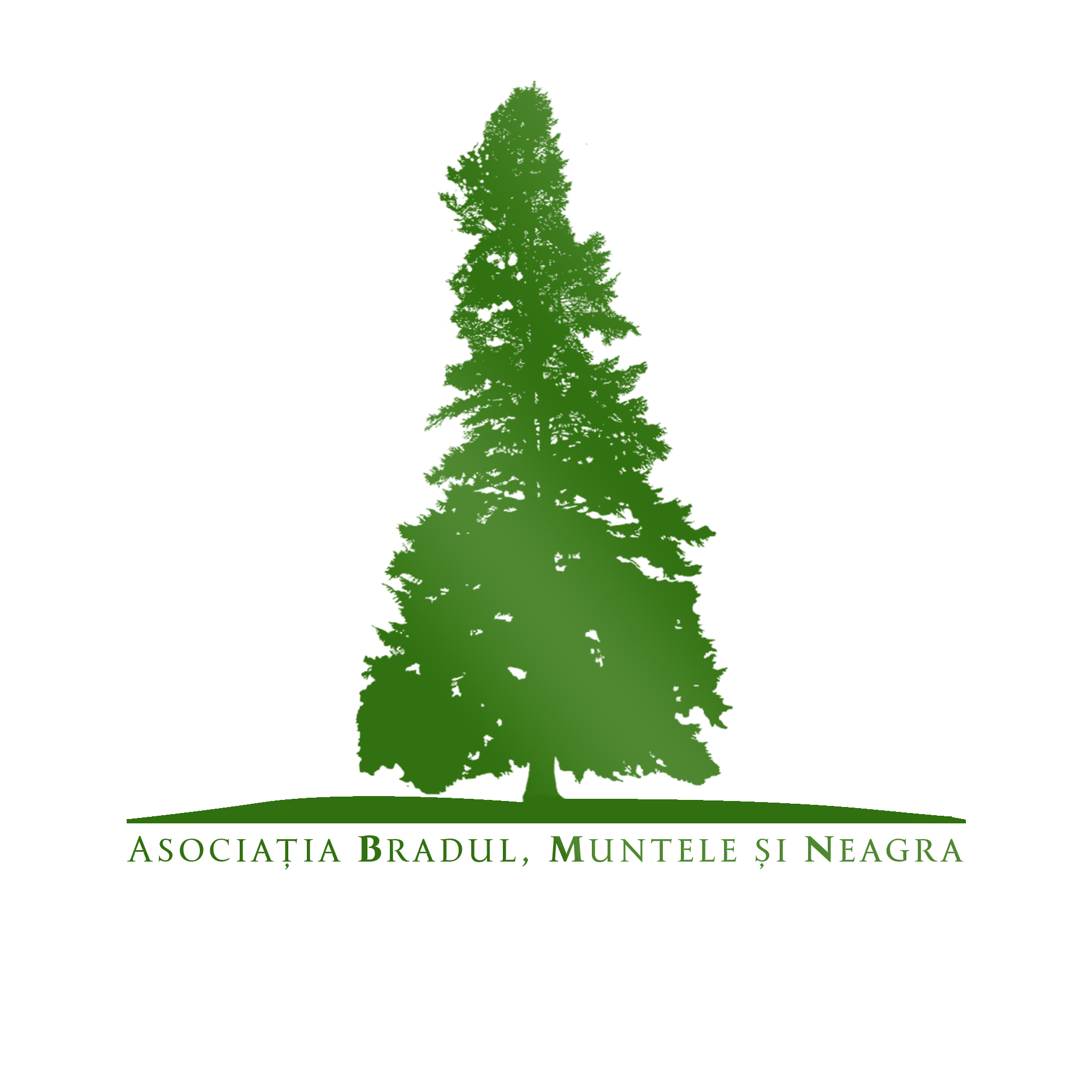Asociaţia Bradul, Muntele şi Neagra logo