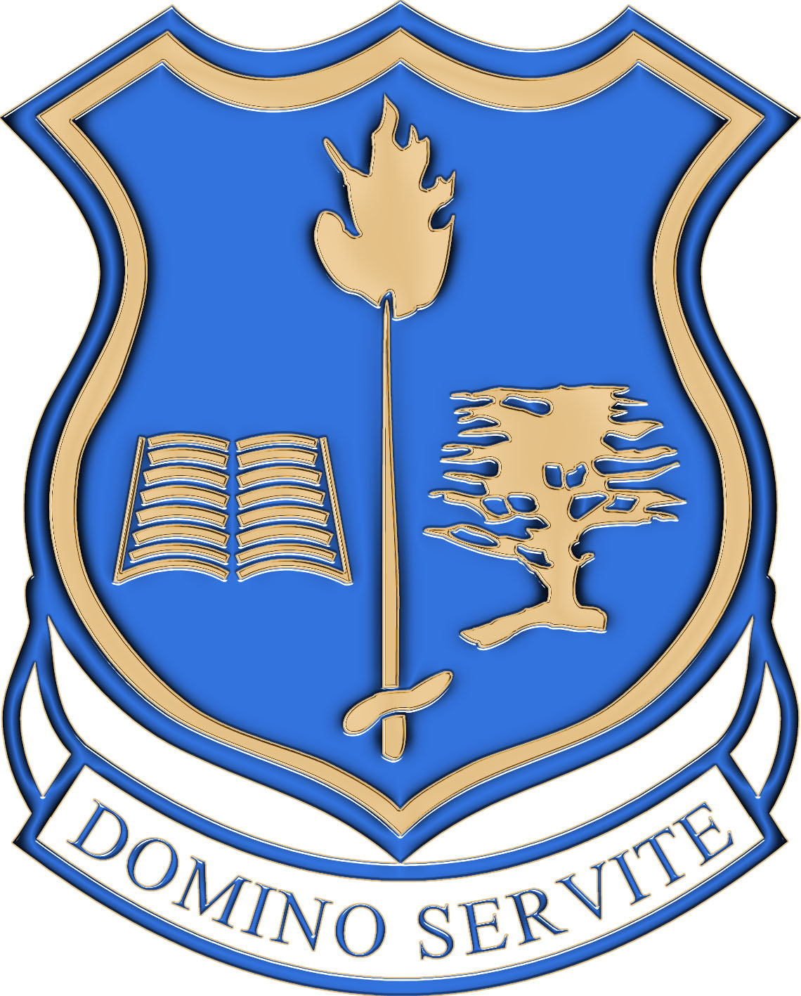 Școala Gimnazială Domino Servite logo