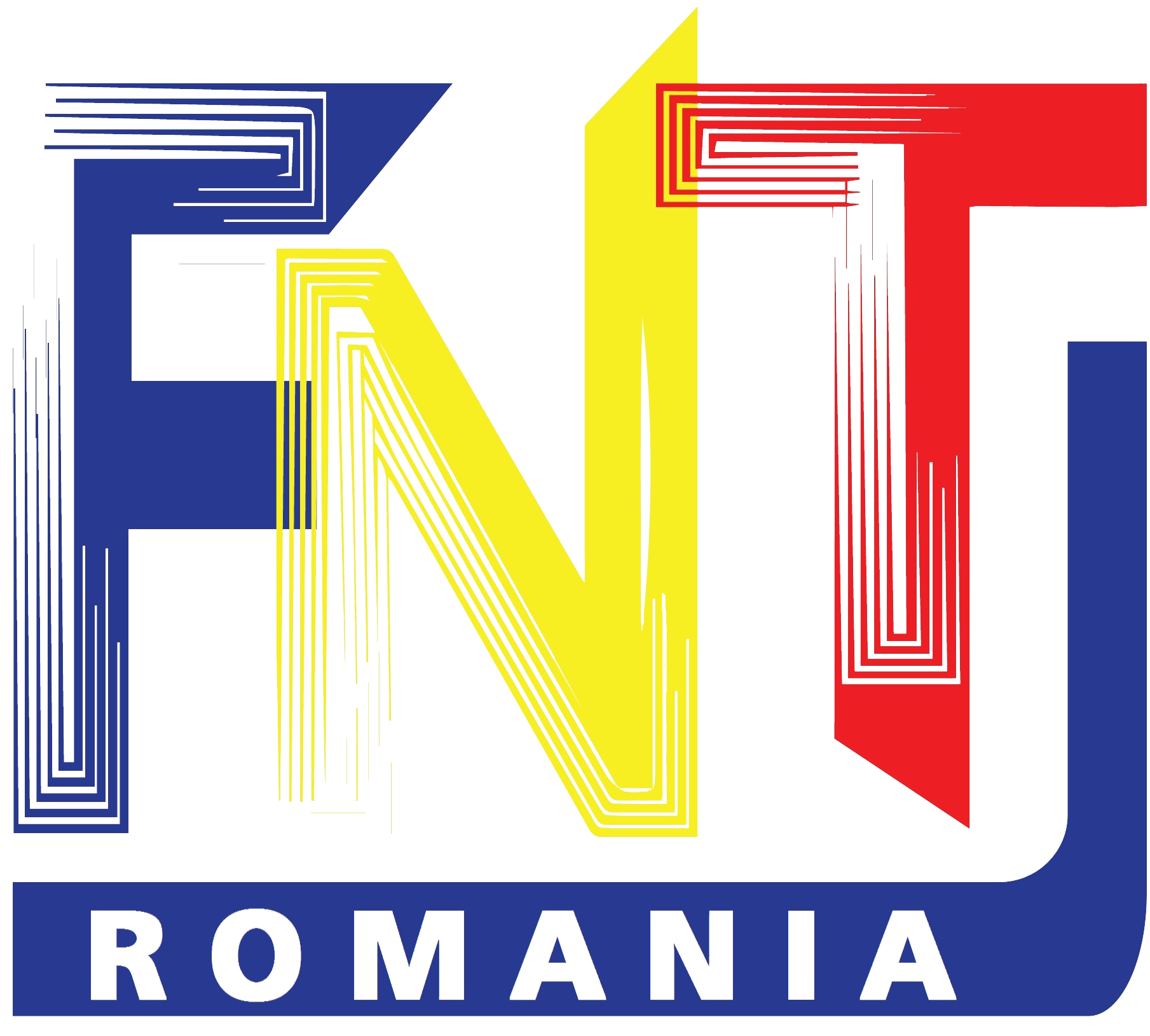 Fundația Națională pentru Tineret logo