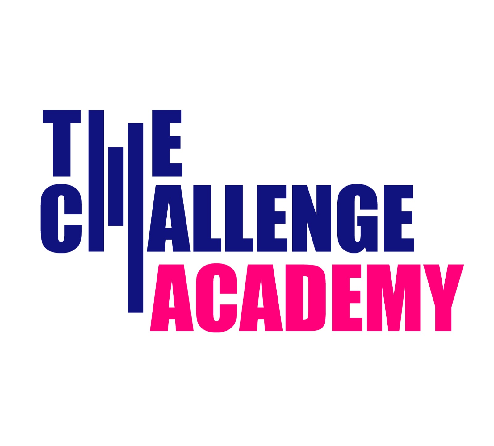 Asociatia The Challenge Academy logo