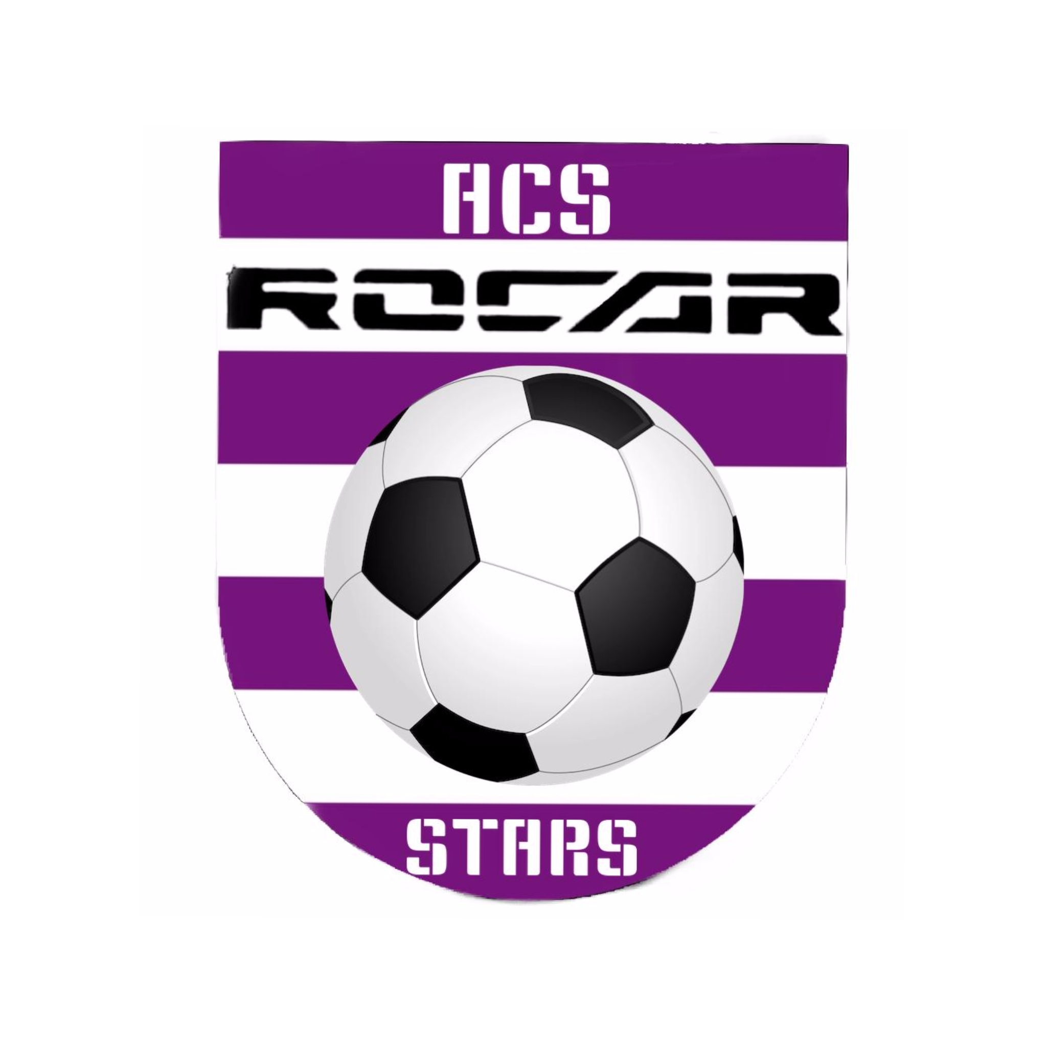 ASOCIAȚIA CLUB SPORTIV ROCAR STARS logo