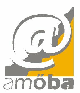 Fundația Amoba logo