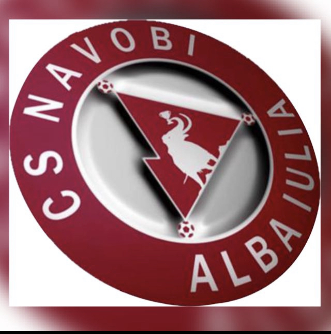 Asociatia “Clubul Sportiv Navobi Alba Iulia” logo