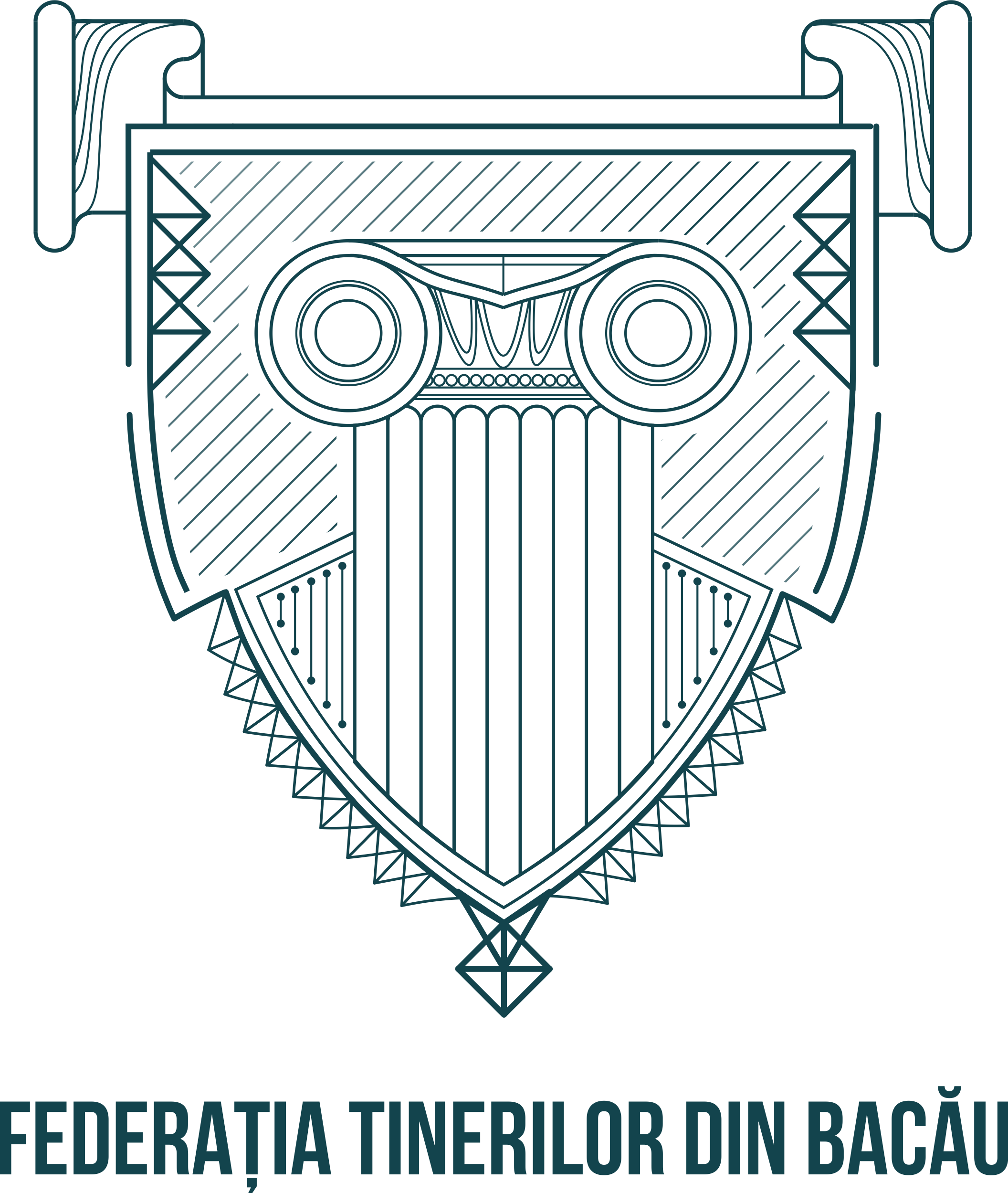 Federatia Tinerilor din Bacau logo