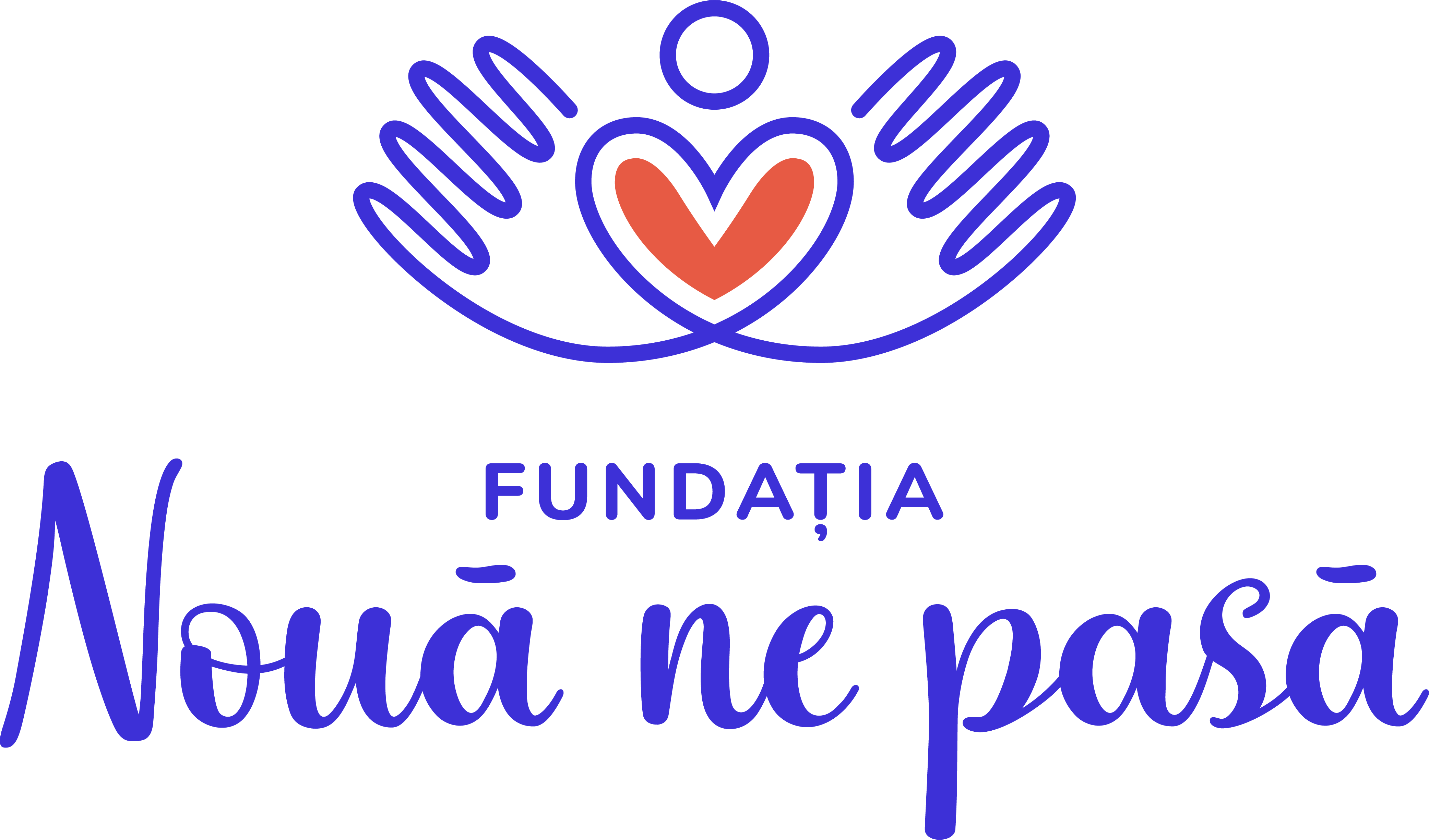 Fundația Nouă ne pasă logo
