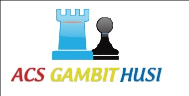 Asociatia Clubul de Sah GAMBIT Husi logo