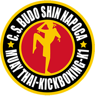 Asociatia Sportiva Club Budo Shin Napoca logo