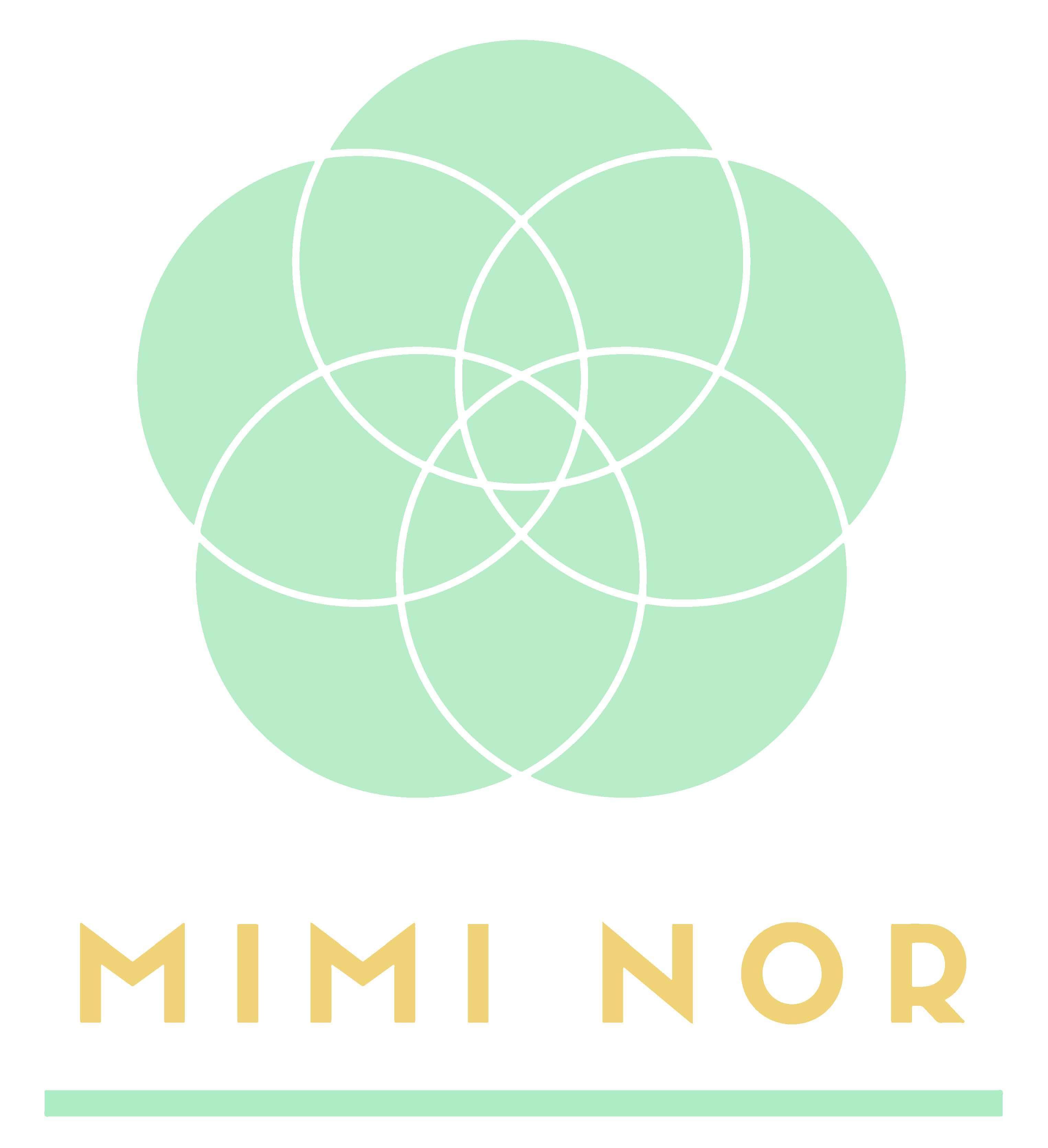 Asociația Mimi Nor logo