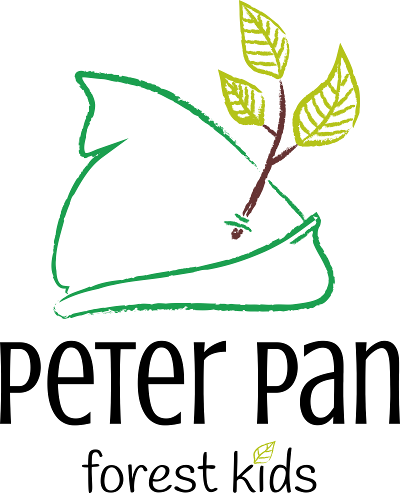 Asociatia Copiii Padurii Peter Pan Egyesület logo