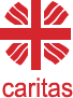 Federația Caritas a Diecezei Timișoara logo
