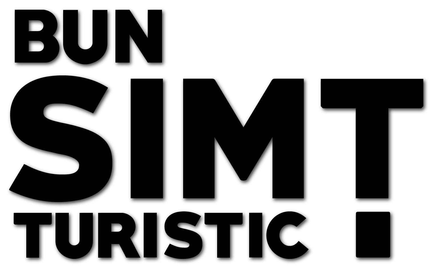 ASOCIATIA BUN - SIMT SI ATITUDINE CIVICA logo