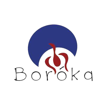 ASOCIATIA DE TINERET "BOROKA" logo