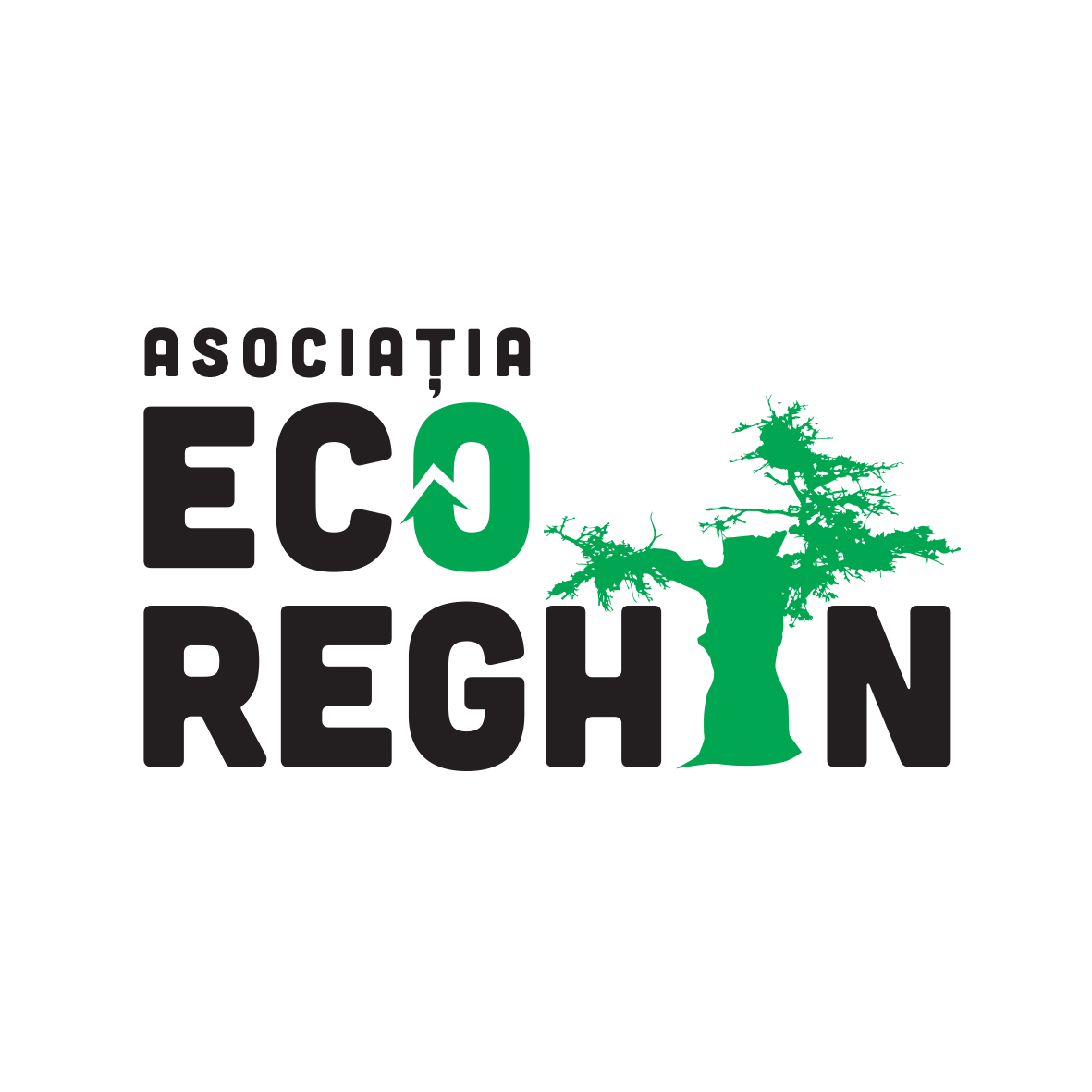 Asociația Eco Reghin logo