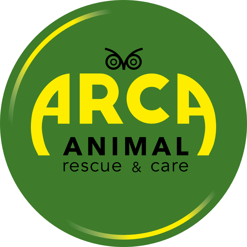 Asociatia ARCA - Animal Rescue and Care logo