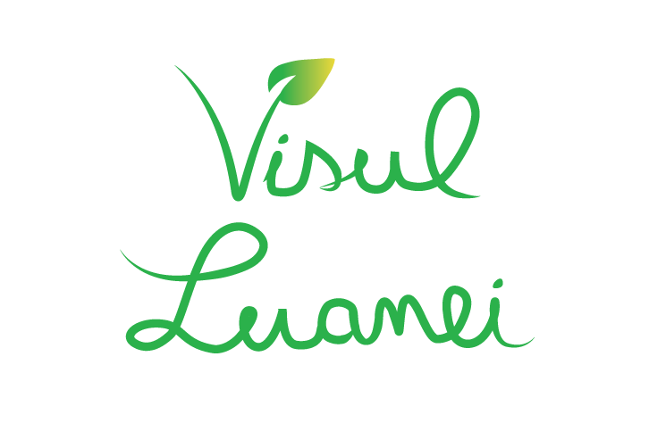 Fundația Visul Luanei logo