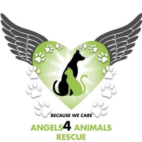 Angels4 Animals Rescue logo