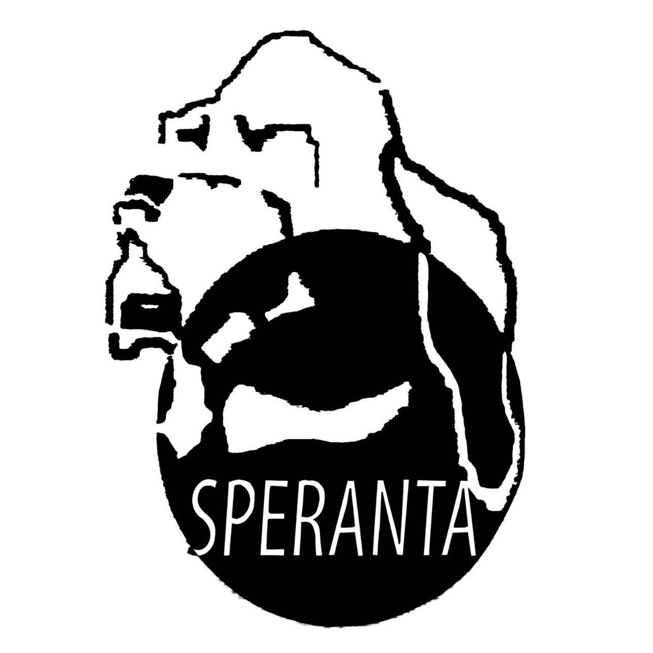 FUNDATIA ADAPOSTUL SPERANTA logo