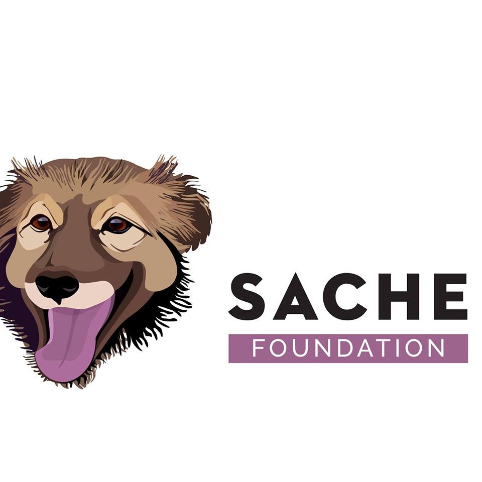 Asociatia Sache logo