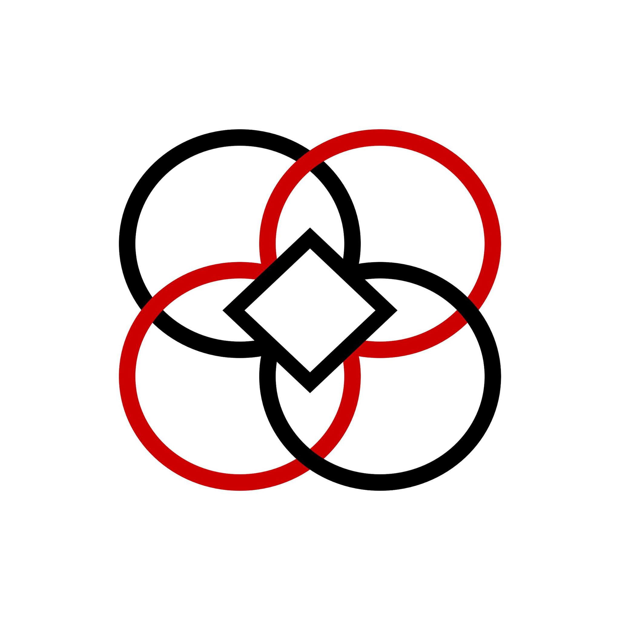 Asociația The Da Vinci System logo