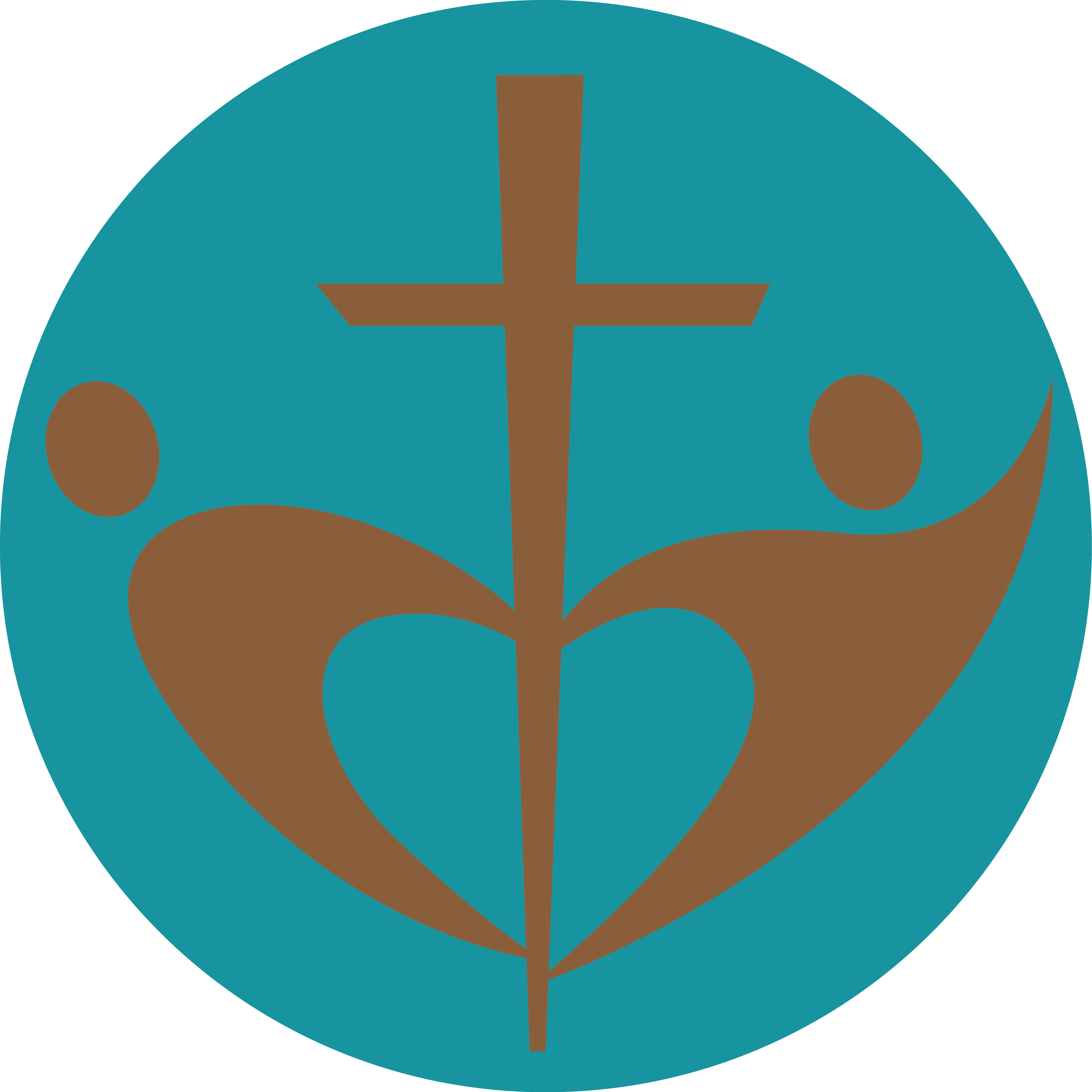 ASOCIATIA STANCA logo