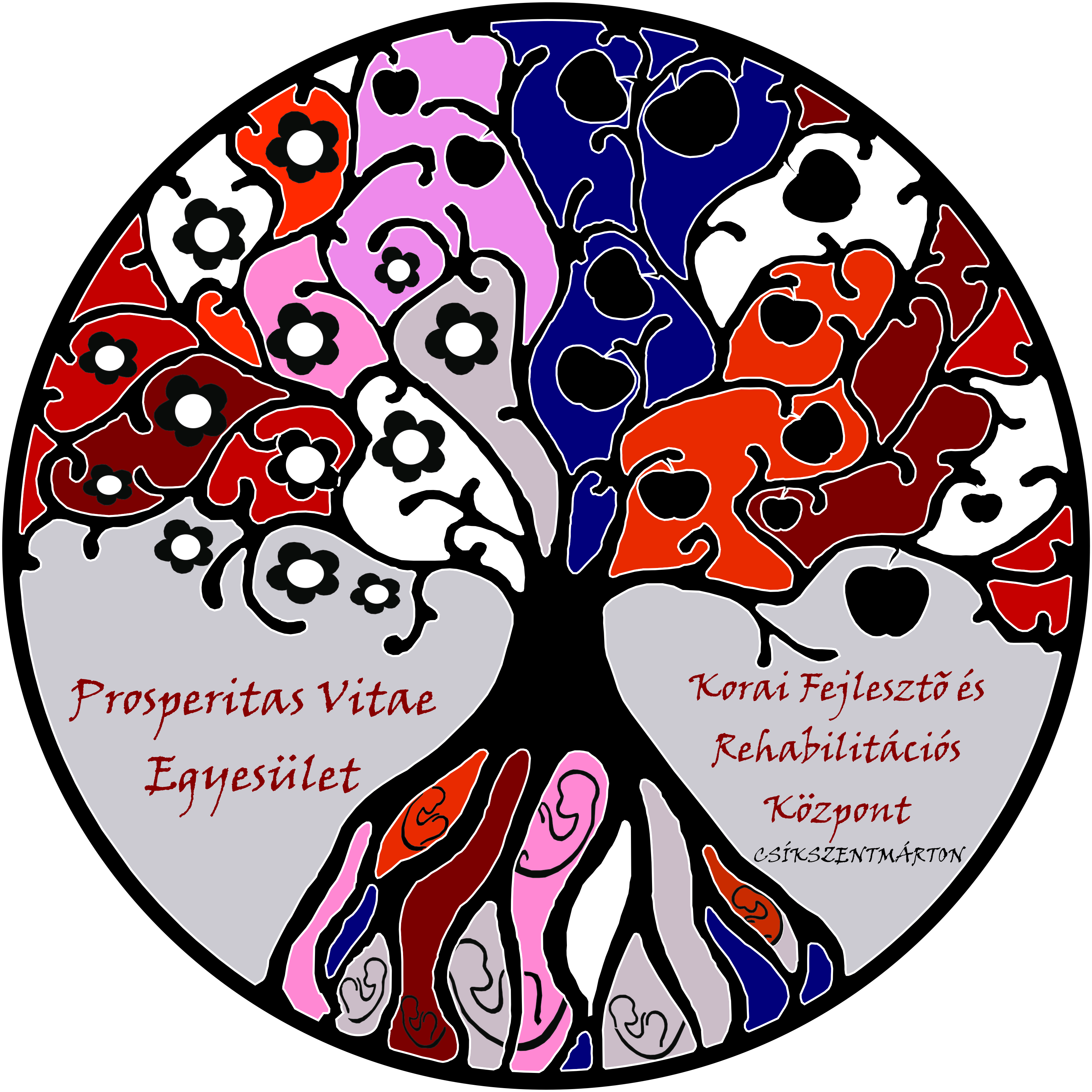 Asociatia Prosperitas Vitae Egyesulet logo