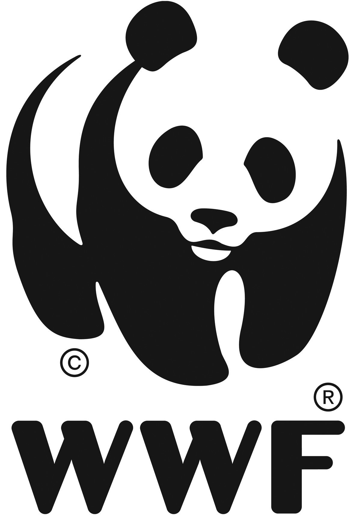 WWF-România Fondul Mondial pentru Natură logo