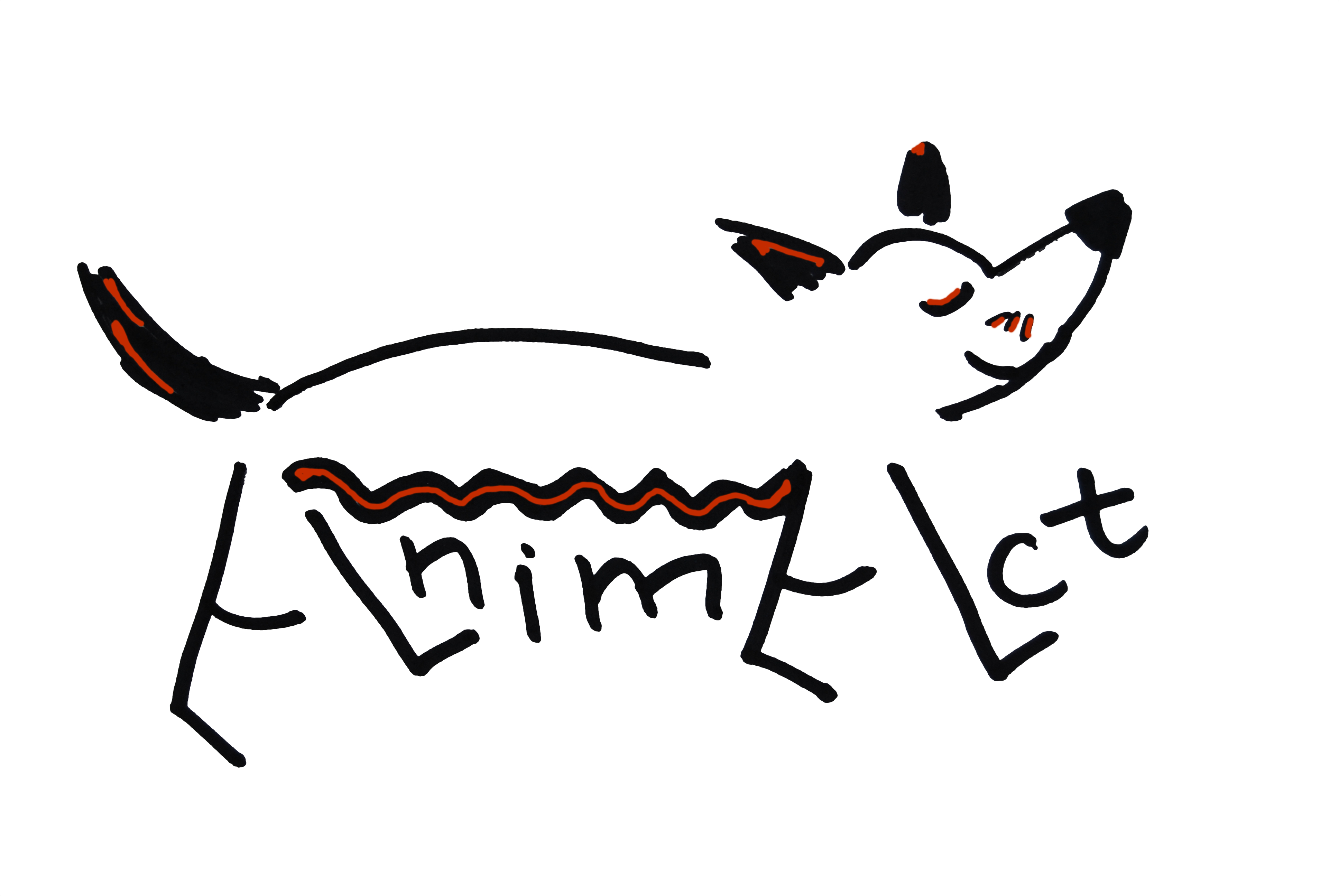 Asociatia Animact logo