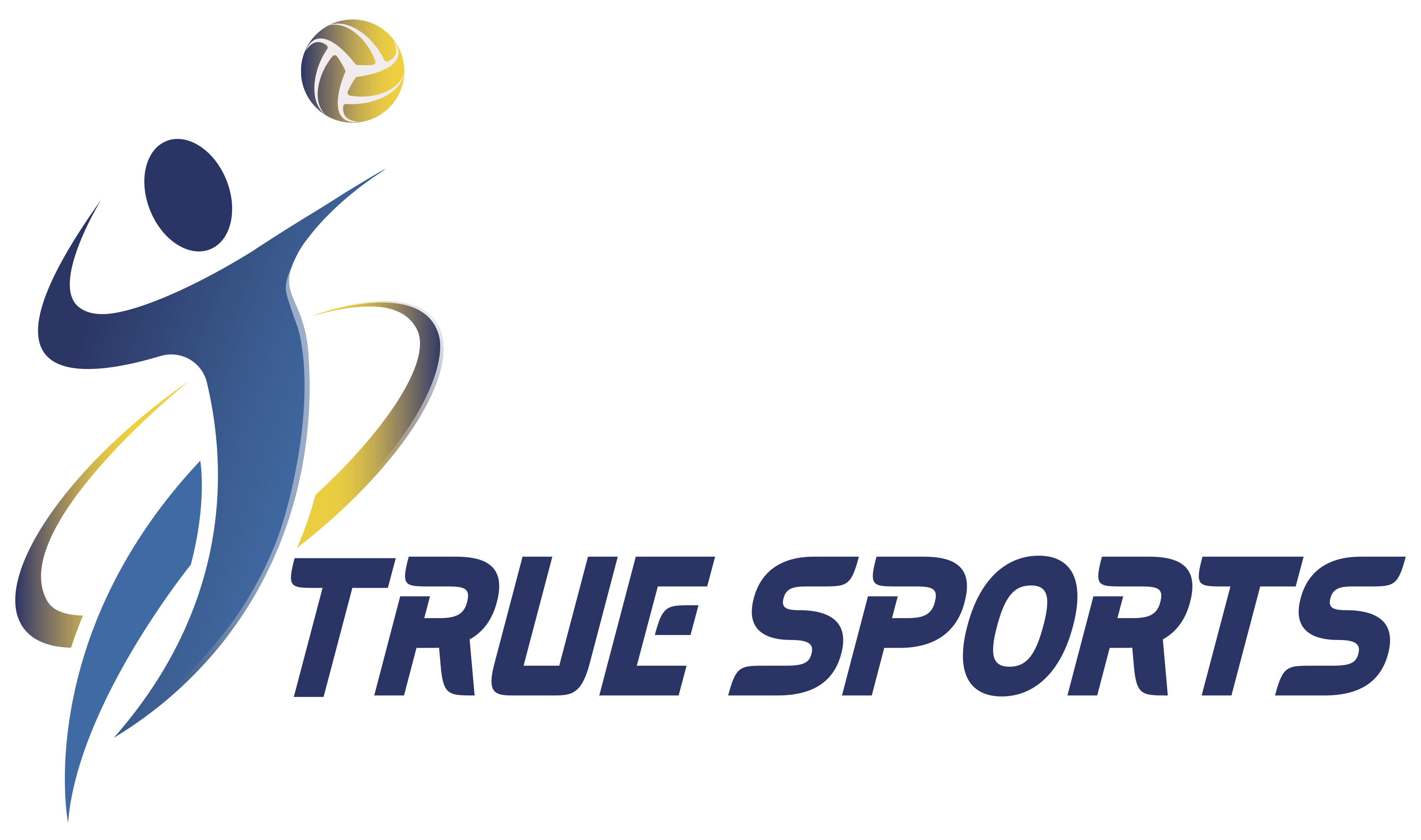 Asociatia Club Sportiv True Sports logo