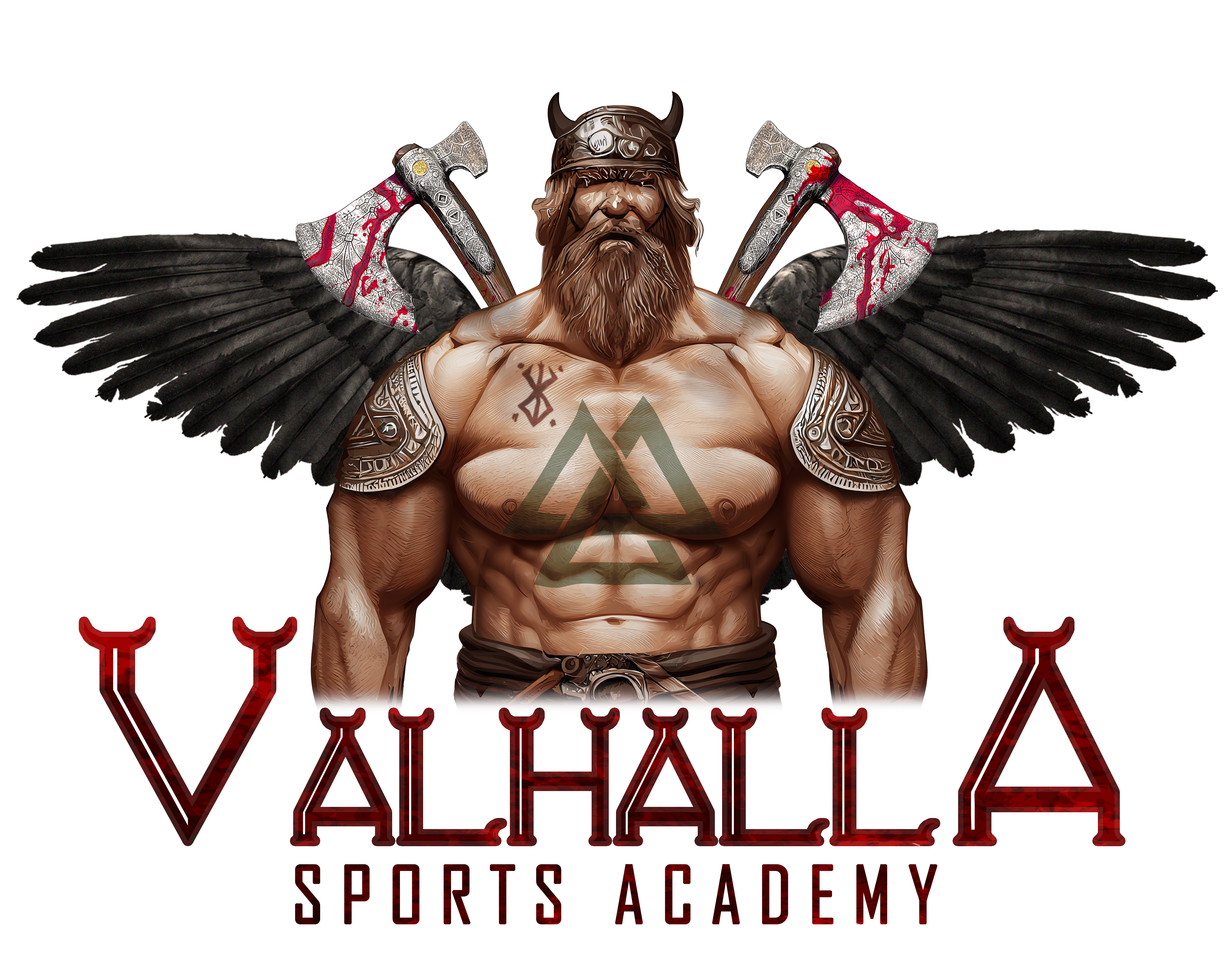 ACS Valhalla Sports Academy logo