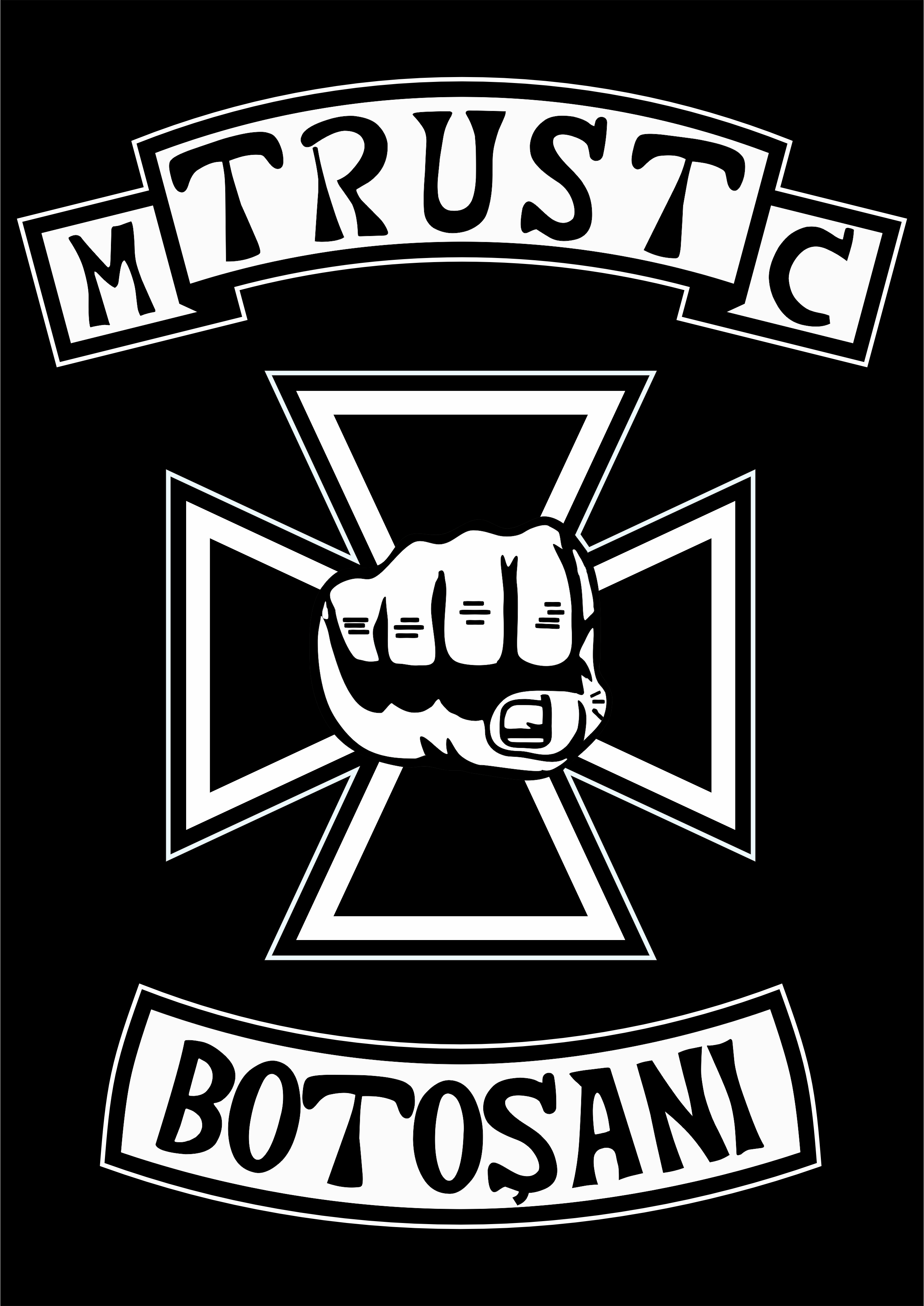Trust MC Botosani logo