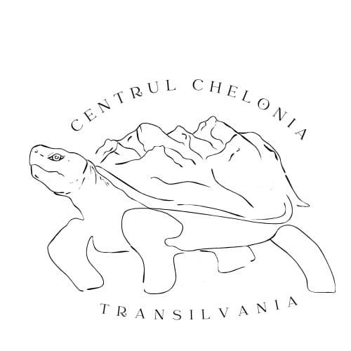 Centrul Chelonia Transilvania logo