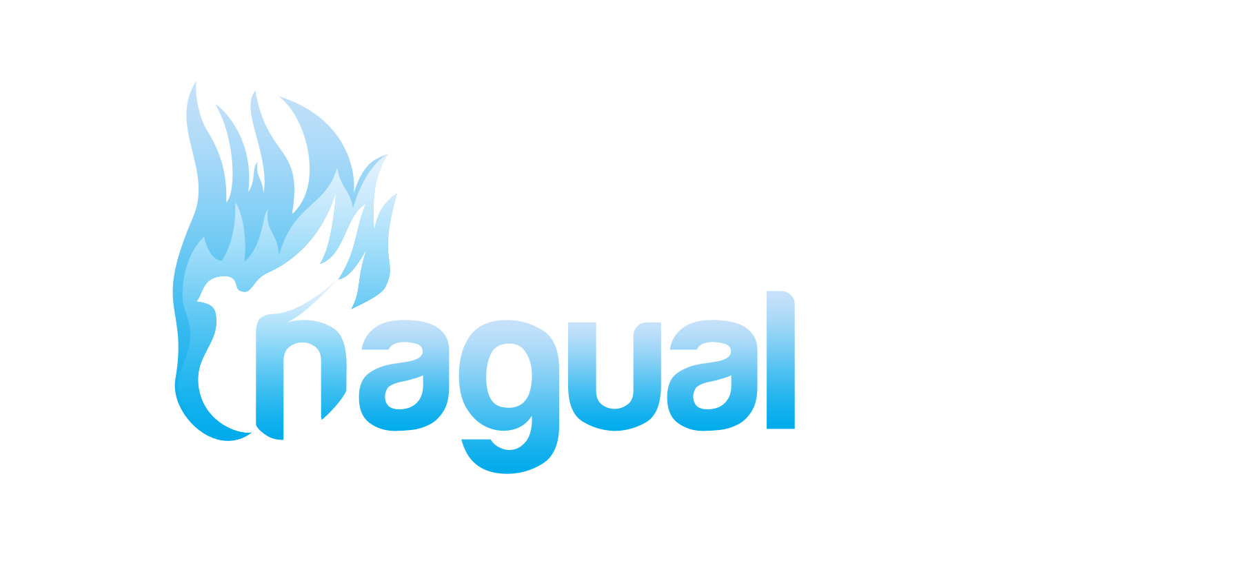 Asociatia Nagal logo