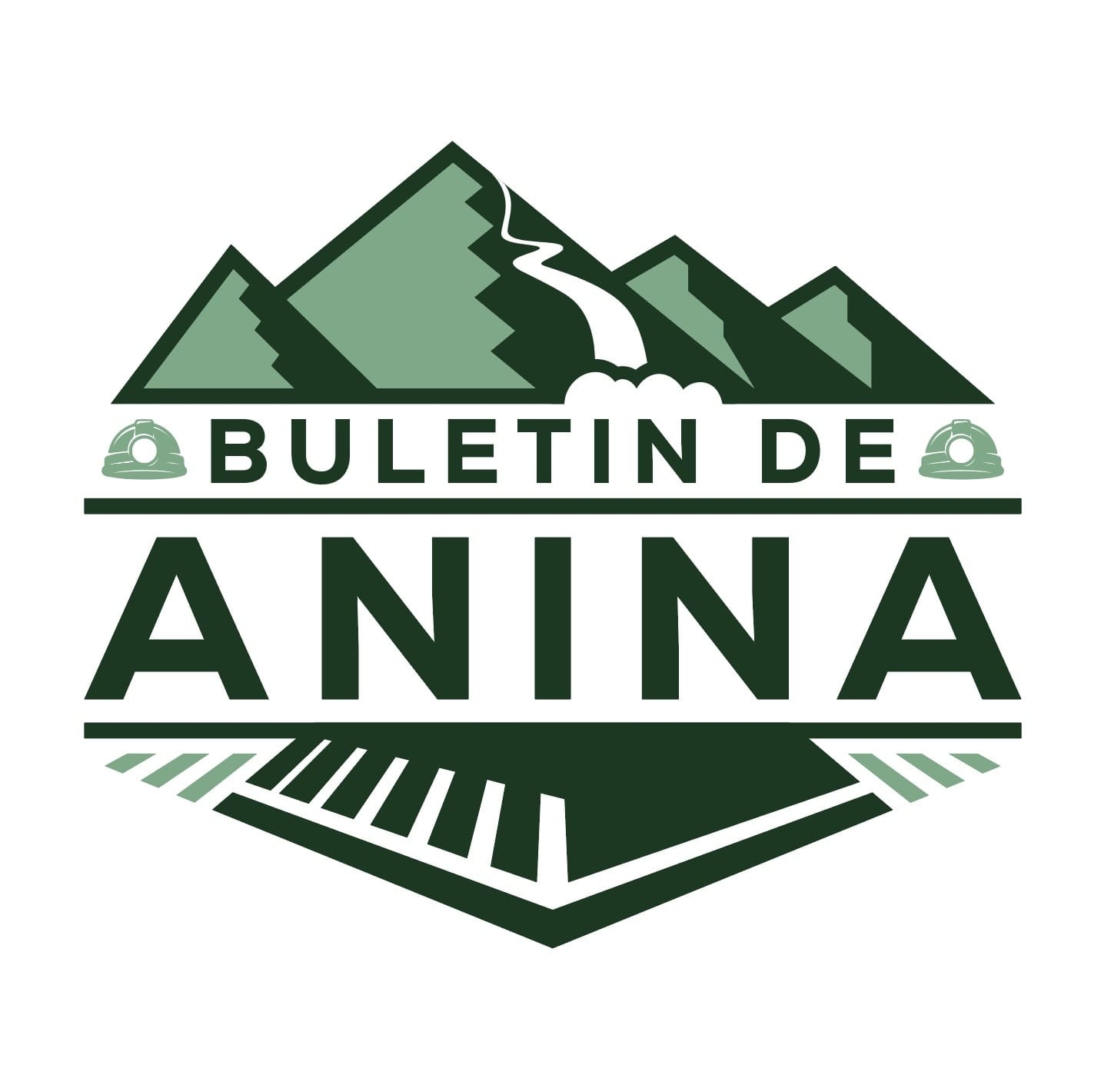 Asociația Buletin de Anina logo
