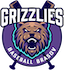  Asociația Club Sportiv Grizzlies Brașov logo