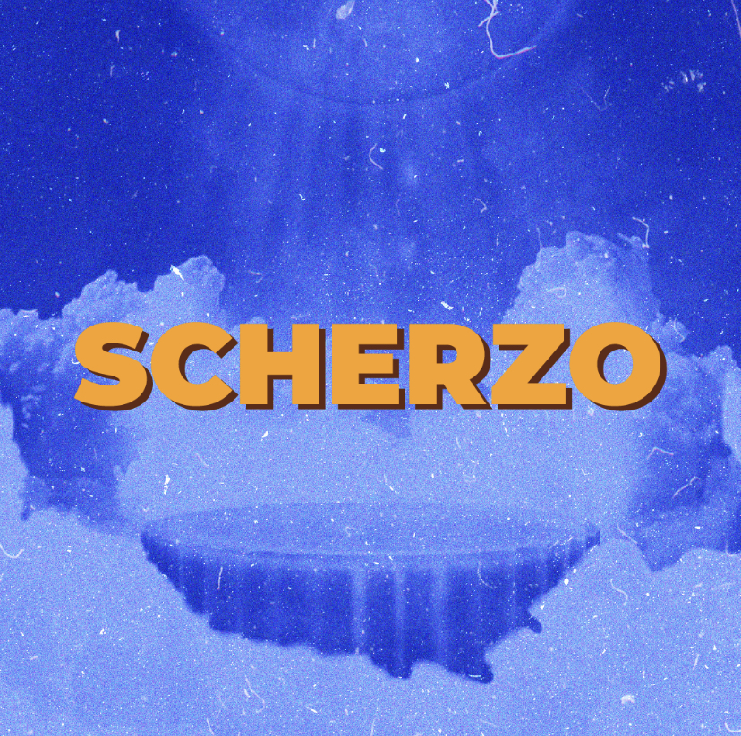 Asociația Pentru Muzicieni Scherzo  logo
