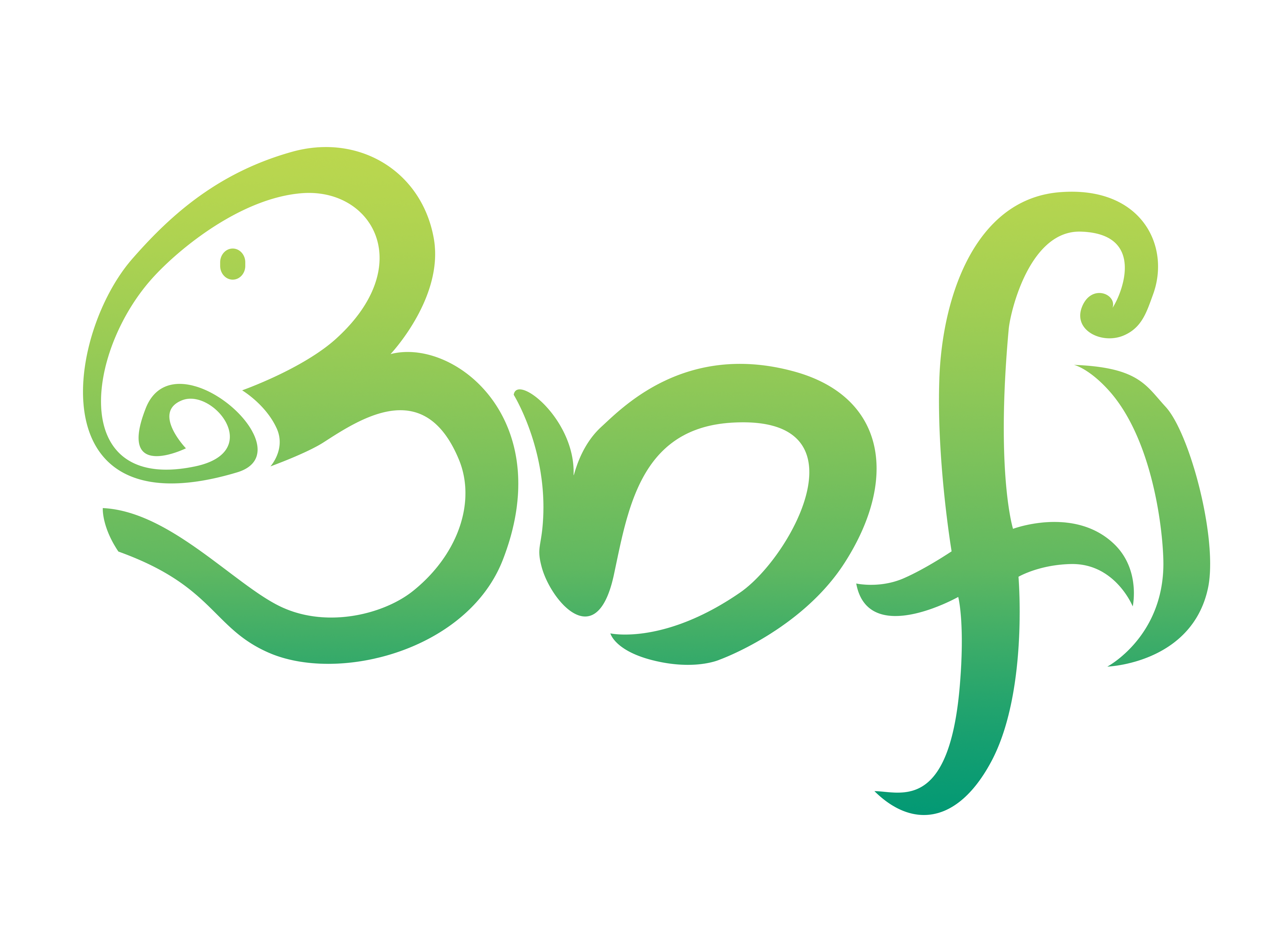 Asociatia BAFi logo