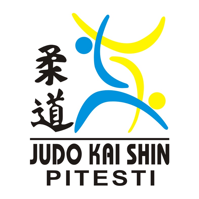 KAI SHIN PITESTI logo