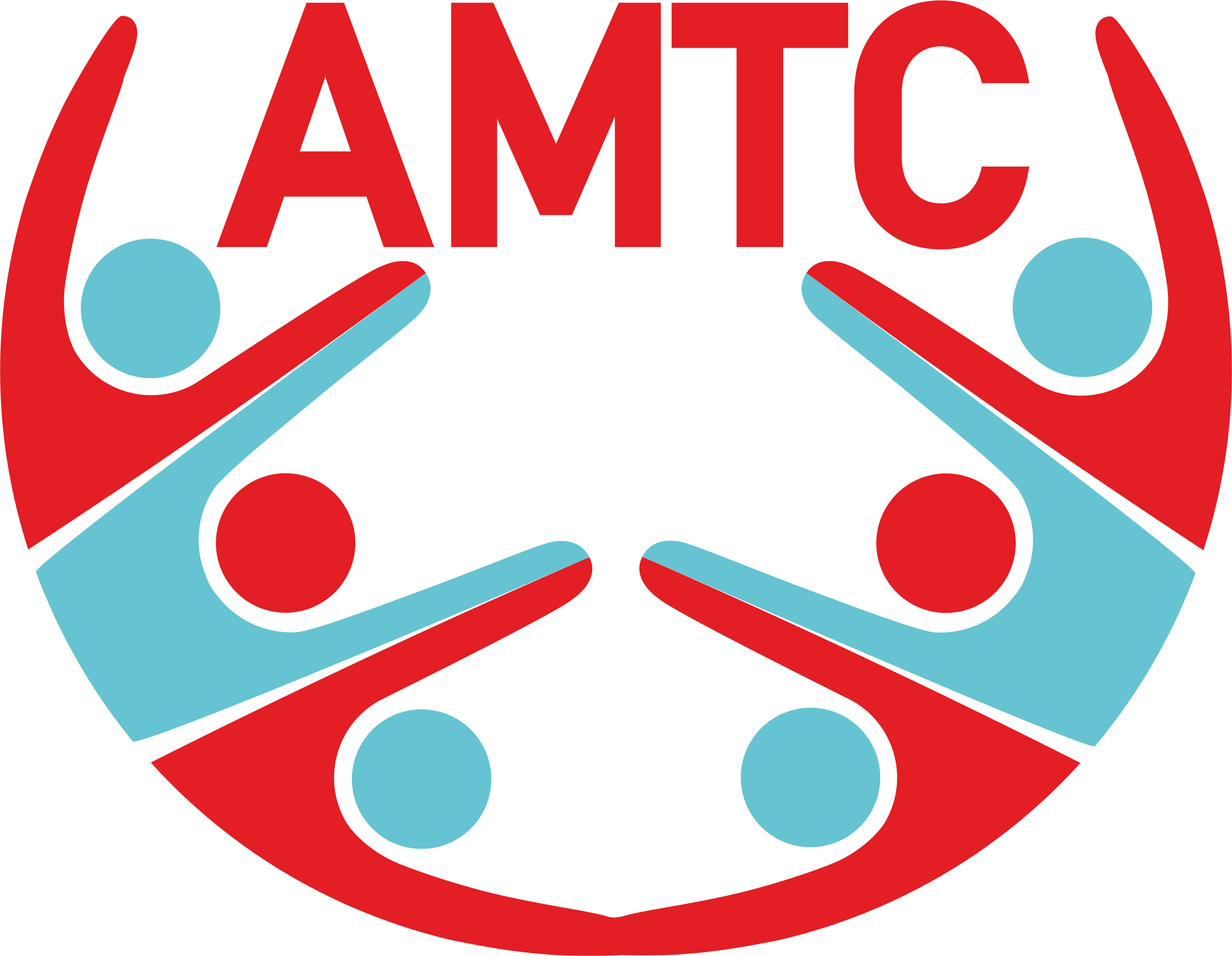 Asociația de Masaj și Terapii Complementare logo