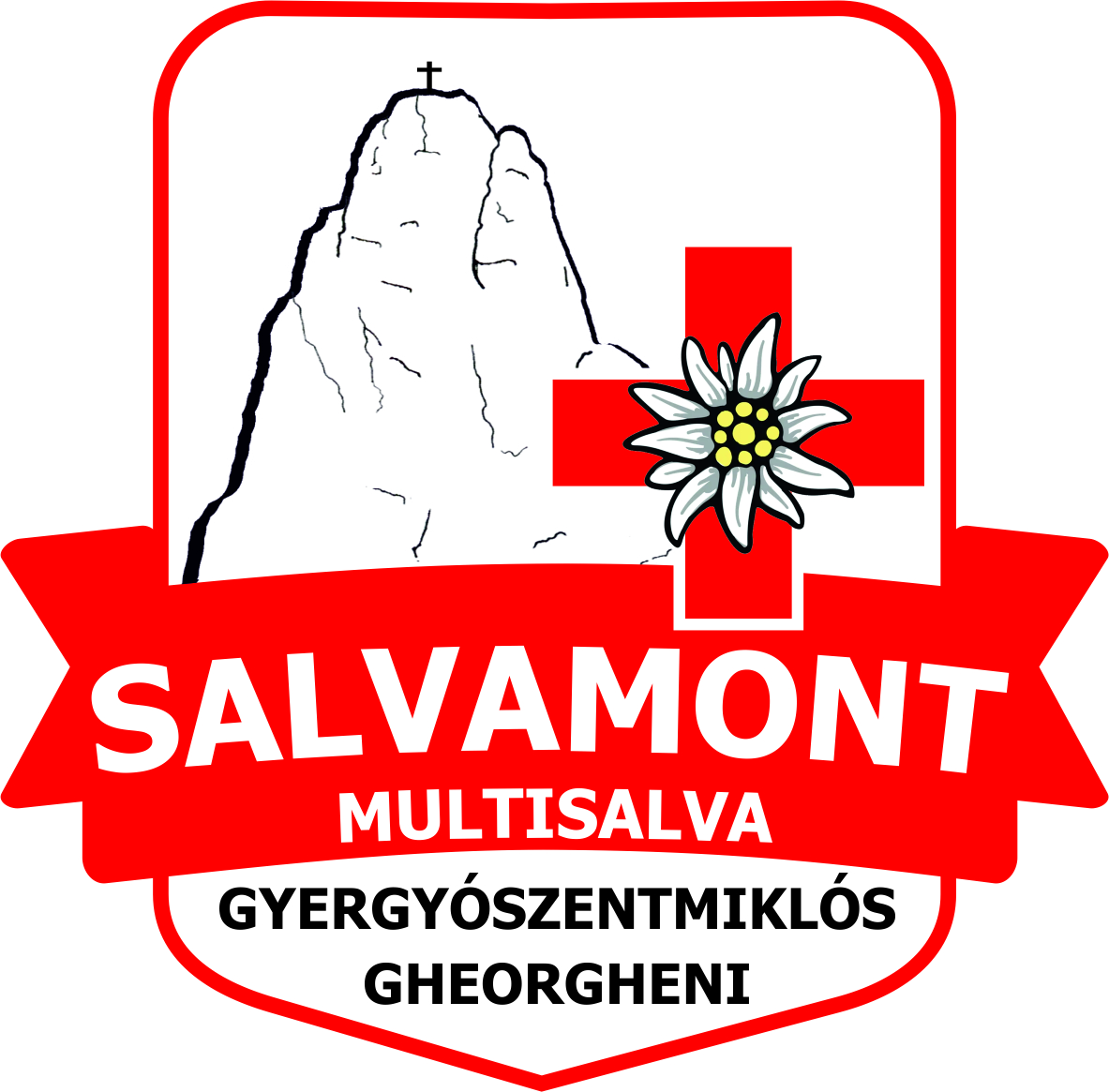 Asociatia MultiSalva Gheorgheni logo