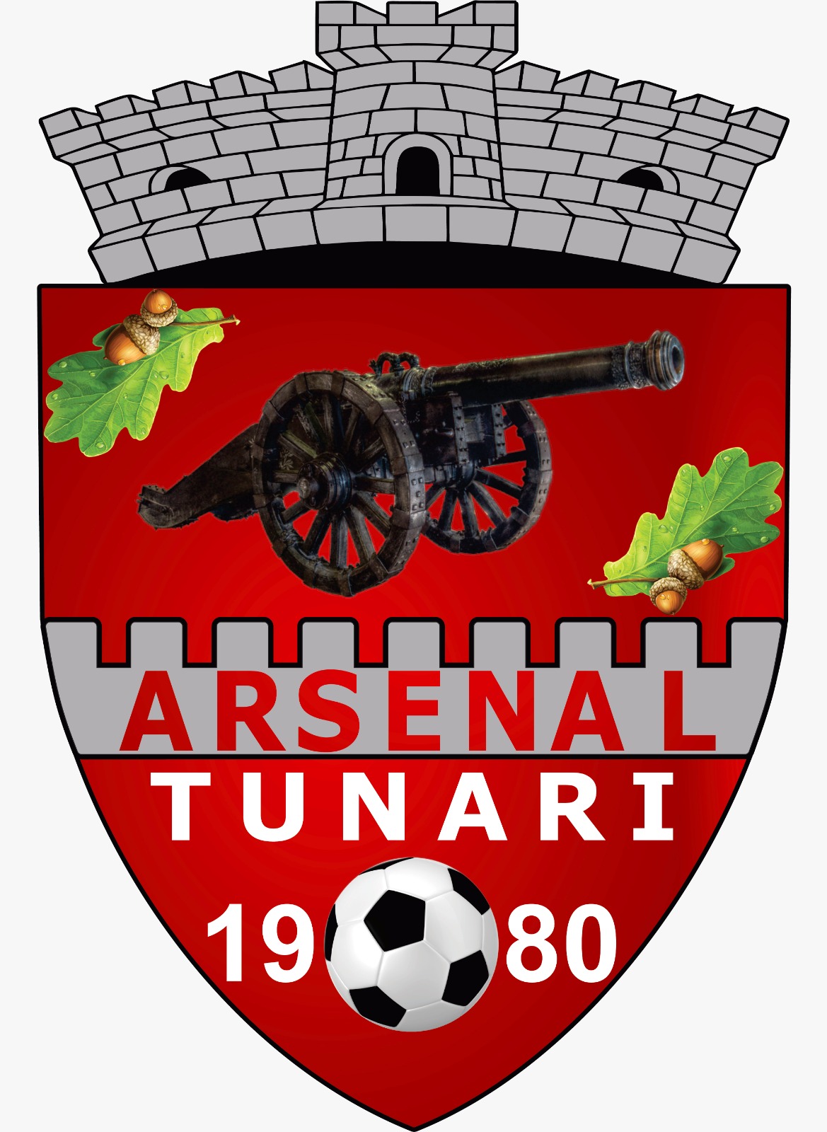 Clubul Sportiv Tunari logo