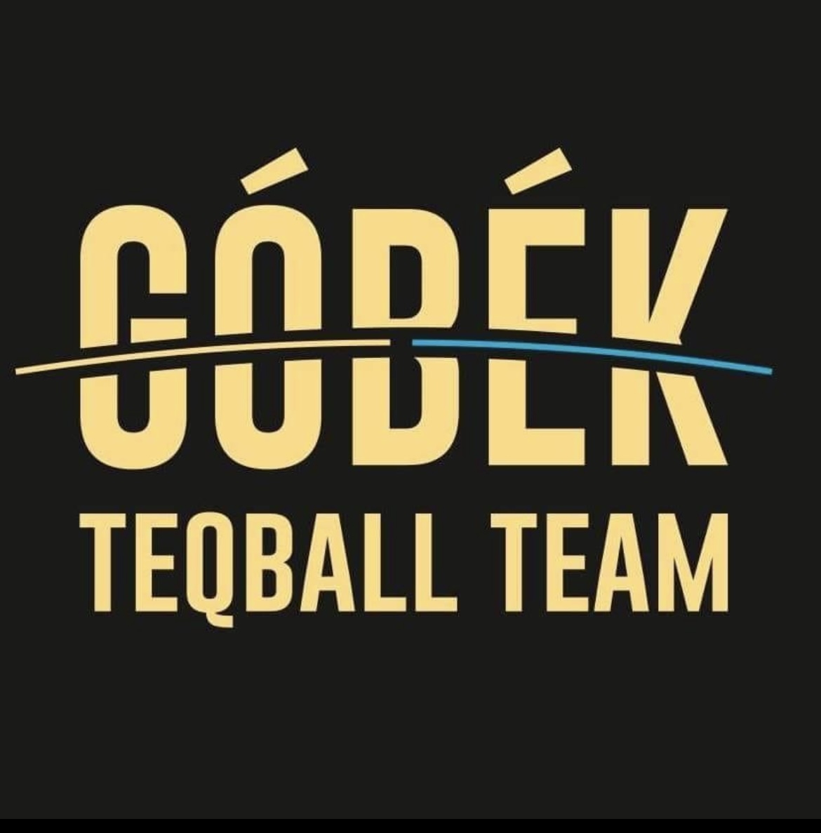 ASOCIATIA TEQBALL TEAM ECHIPA TEQBALL GOBEK logo